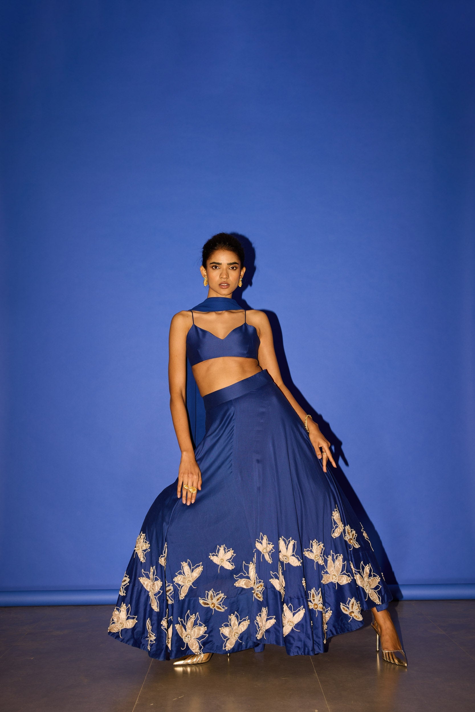 Crop top with Lehenga Skirt - Lehenga Set