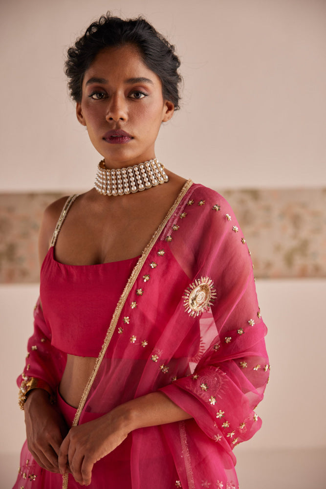 Pink Lehenga set - Suit
