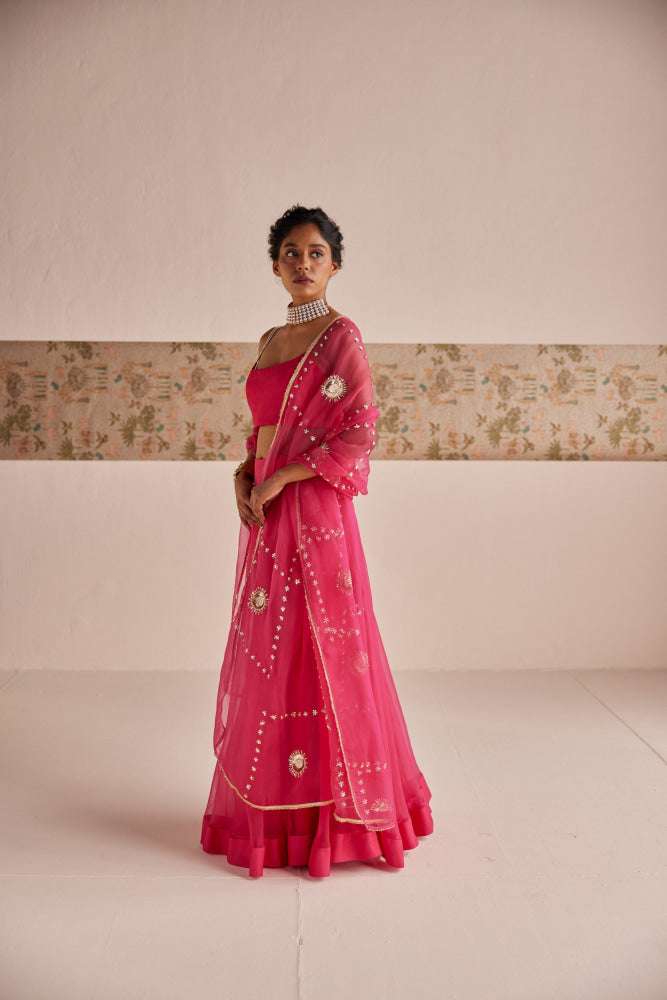 Pink Lehenga set - Suit