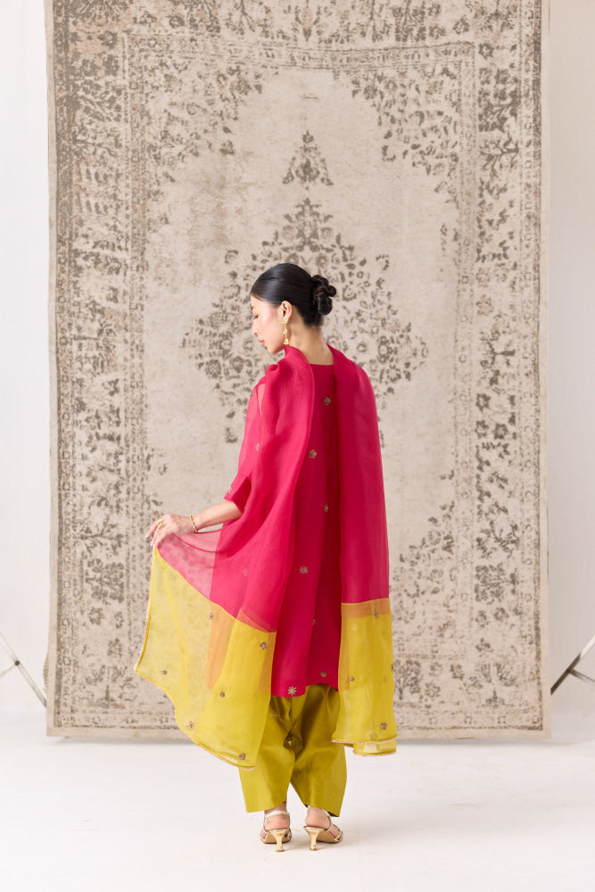 Rhodora Kurta salwar set - kurta set
