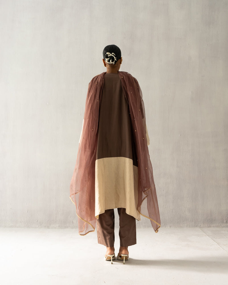 Brown A line tissue suit - Suit