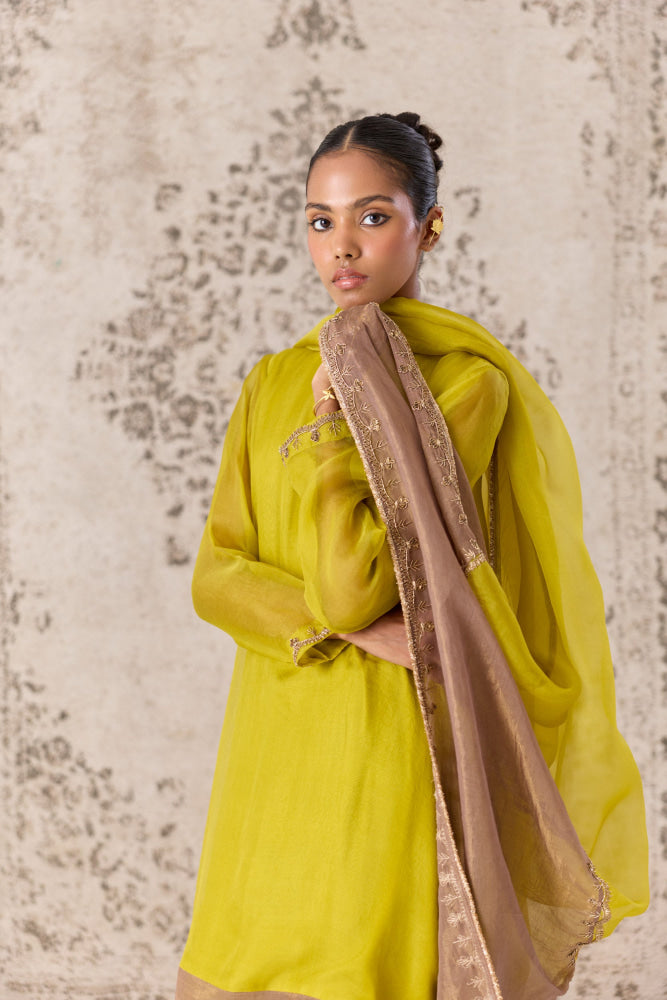 Citronelle Kurta set - kurta set