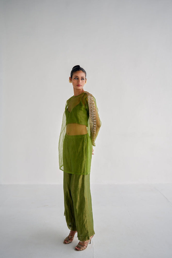 OLIVE GREEN NET KURTA SET - Esha Arora