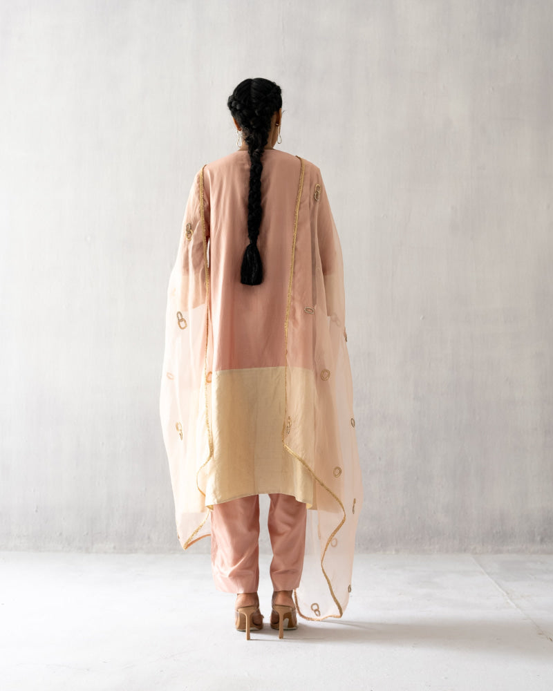 Pink A line tissue suit - Suit