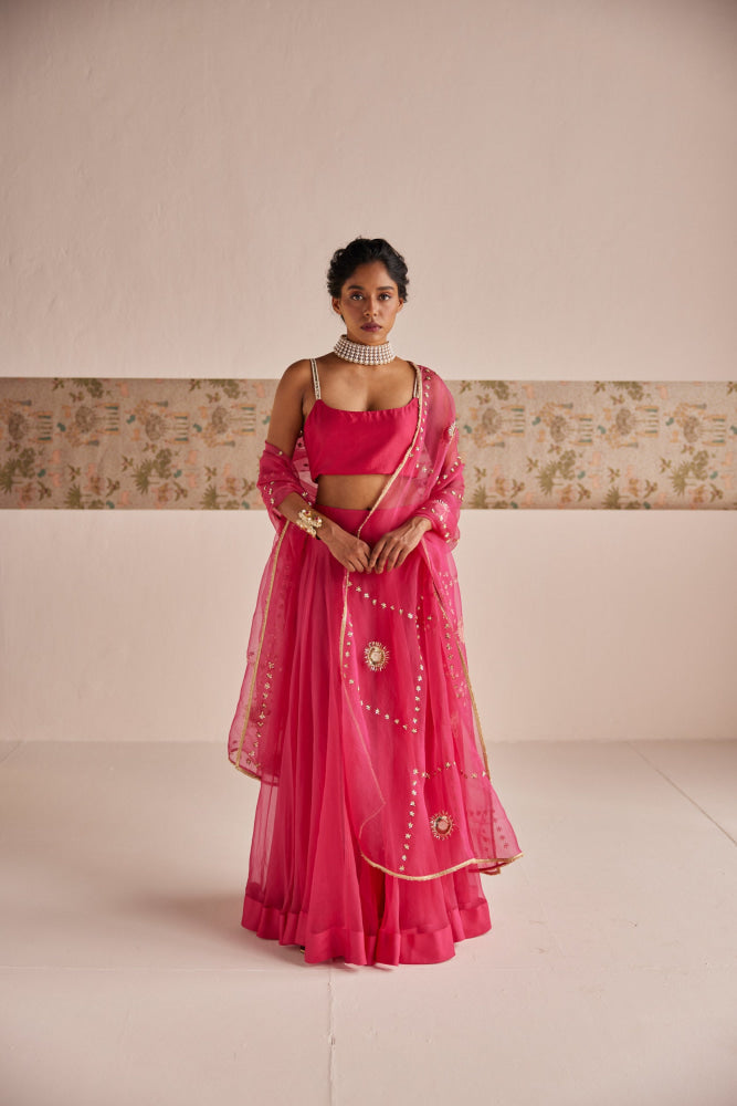 Pink Lehenga set - Suit
