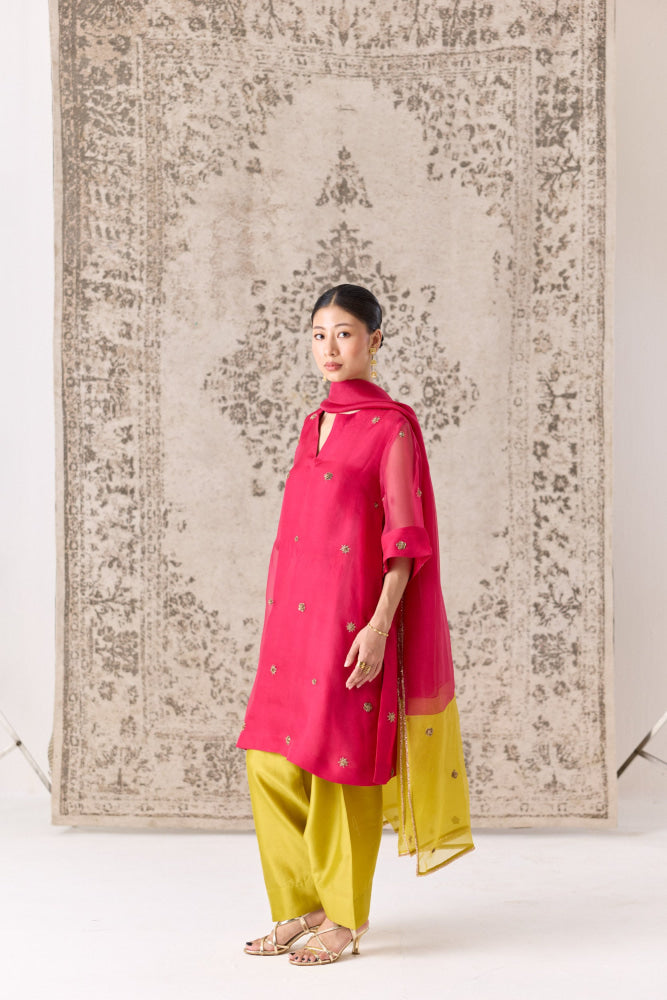 Rhodora Kurta salwar set - kurta set