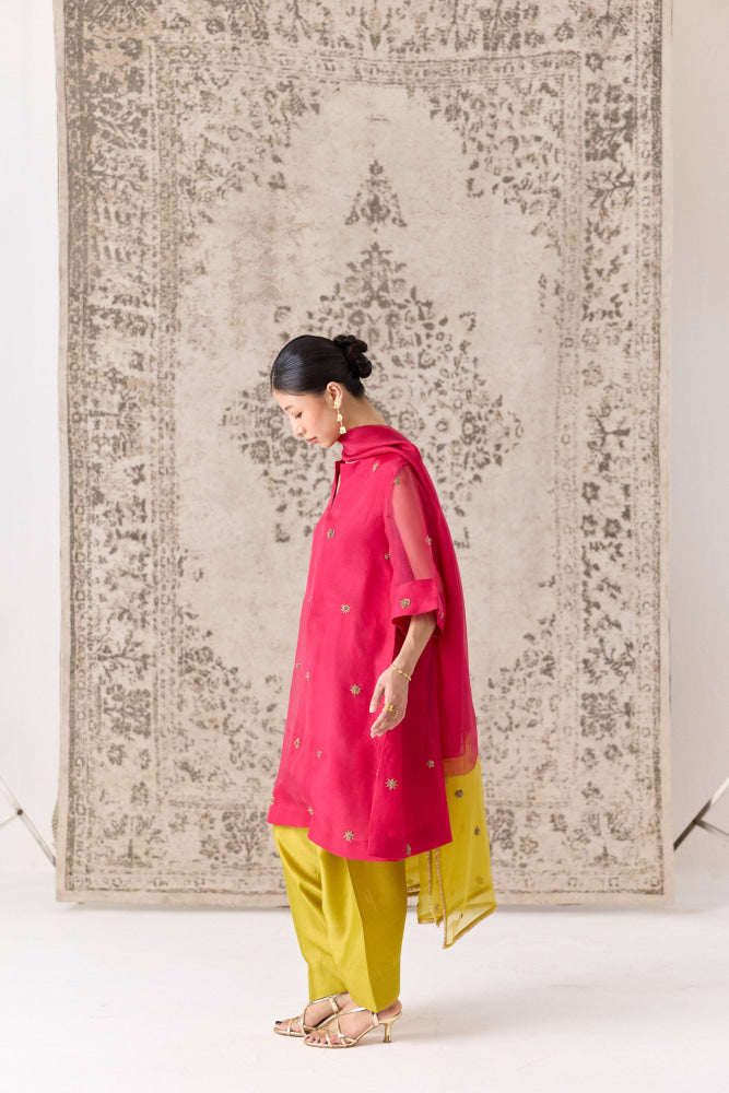 Rhodora Kurta salwar set - kurta set