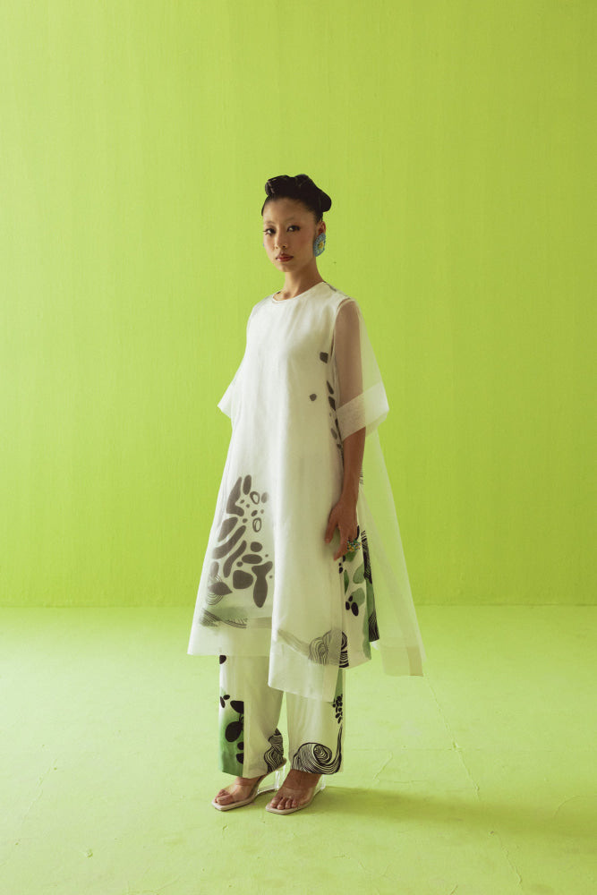 SHEER GREEN KURTA SET - kurta set